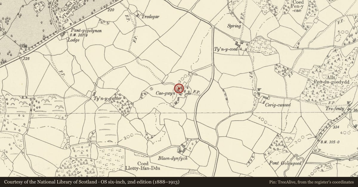 Ordnance Survey six-inch map, 2nd edition (1888–1913) covering the location of L-plan range of outbuildings at Caegwyn, Myddfai, Carmarthenshire, with a pin at the register's coordinates