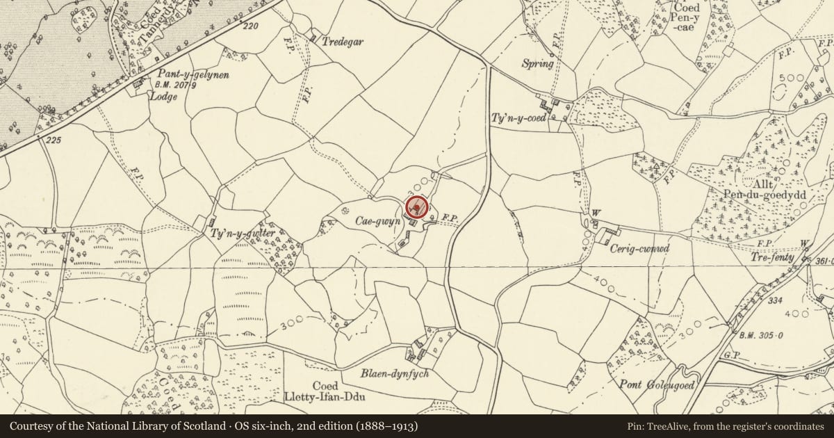 Ordnance Survey six-inch map, 2nd edition (1888–1913) covering the location of Stable at Caegwyn, Myddfai, Carmarthenshire, with a pin at the register's coordinates