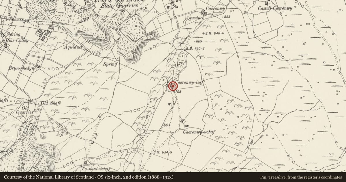Ordnance Survey six-inch map, 2nd edition (1888–1913) covering the location of Caeronwy-isaf, Llandwrog, Gwynedd, with a pin at the register's coordinates