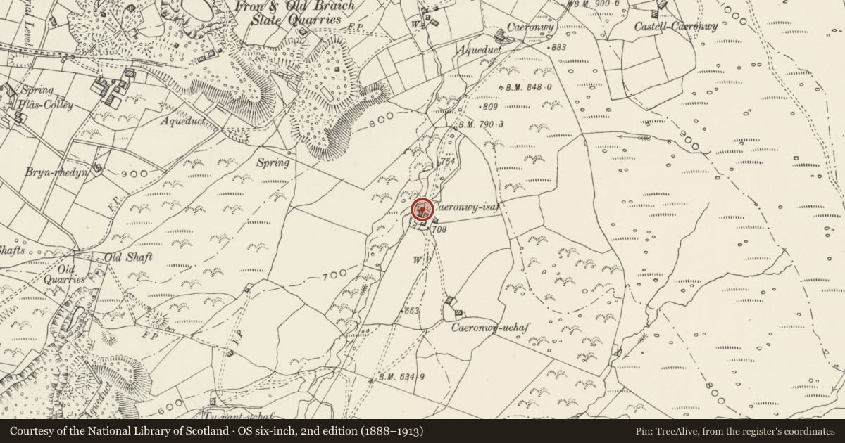 Ordnance Survey six-inch map, 2nd edition (1888–1913) covering the location of Cowhouse at Caeronwy-isaf, Llandwrog, Gwynedd, with a pin at the register's coordinates