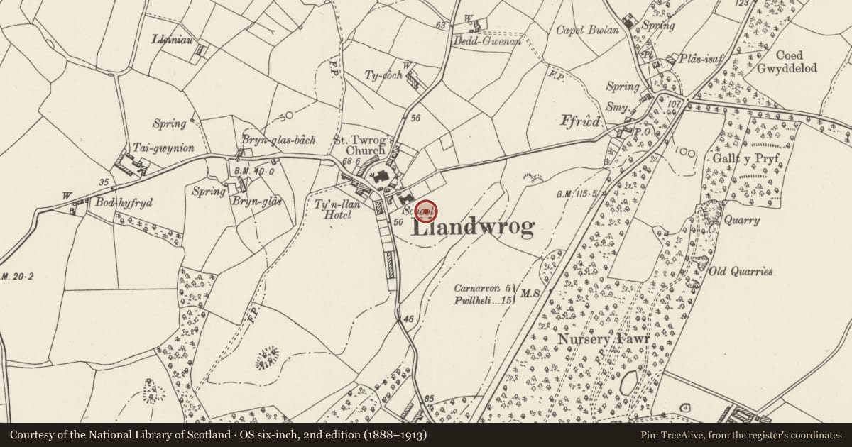 Ordnance Survey six-inch map, 2nd edition (1888–1913) covering the location of Cemetery Walls and Gates, Llandwrog, Gwynedd, with a pin at the register's coordinates