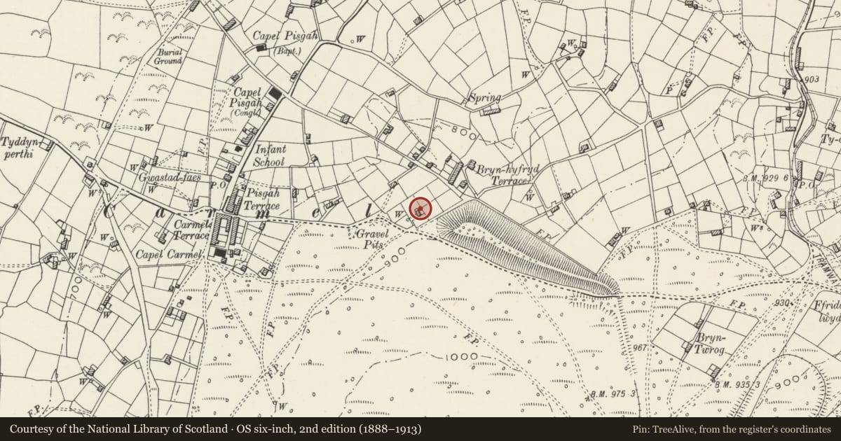 Ordnance Survey six-inch map, 2nd edition (1888–1913) covering the location of Pen Bwlch Bach, Llandwrog, Gwynedd, with a pin at the register's coordinates