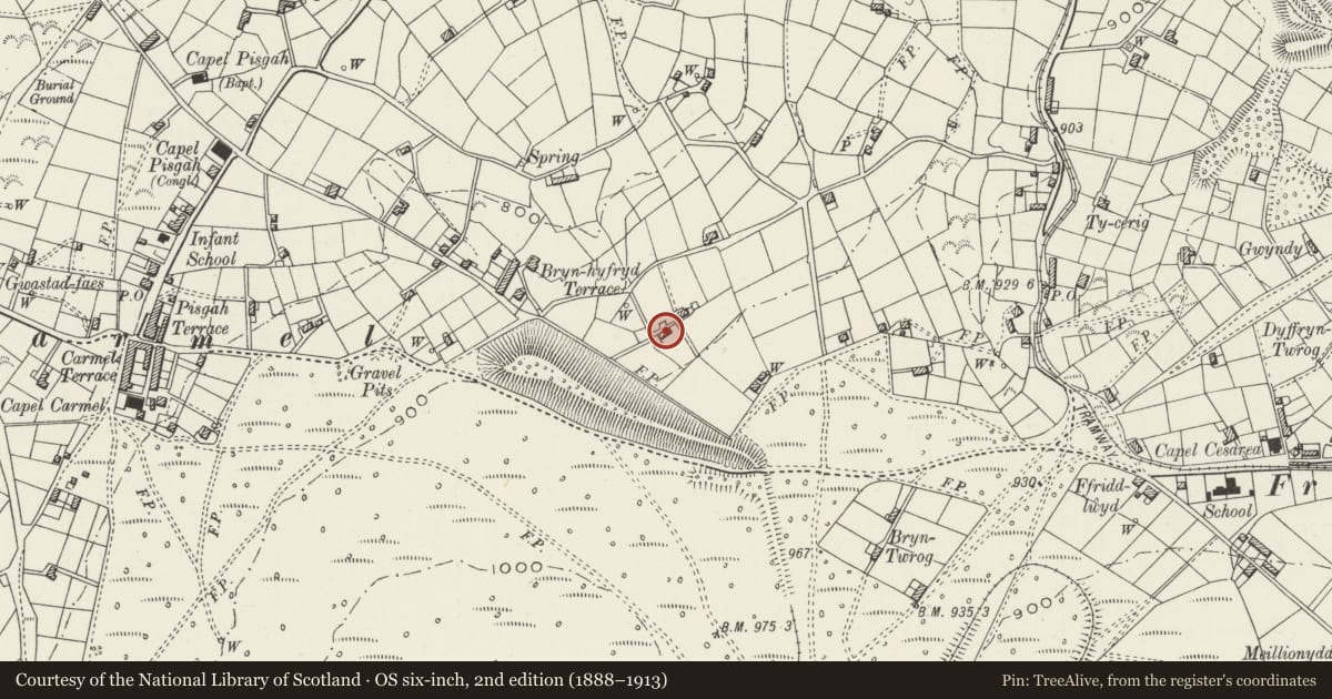 Ordnance Survey six-inch map, 2nd edition (1888–1913) covering the location of Cae-Ffynnon, Llandwrog, Gwynedd, with a pin at the register's coordinates