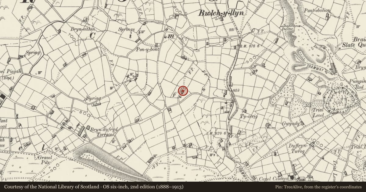 Ordnance Survey six-inch map, 2nd edition (1888–1913) covering the location of Disused Cottage at Buarth Newydd, Llandwrog, Gwynedd, with a pin at the register's coordinates