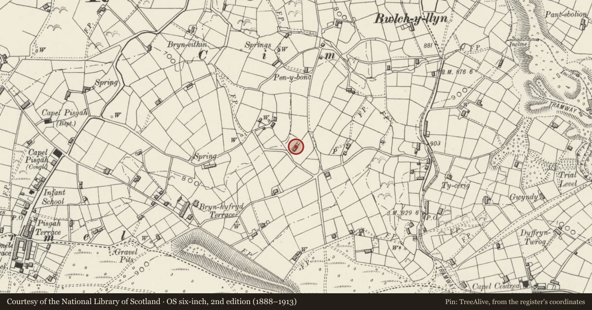 Ordnance Survey six-inch map, 2nd edition (1888–1913) covering the location of Buarth Farm, Llandwrog, Gwynedd, with a pin at the register's coordinates
