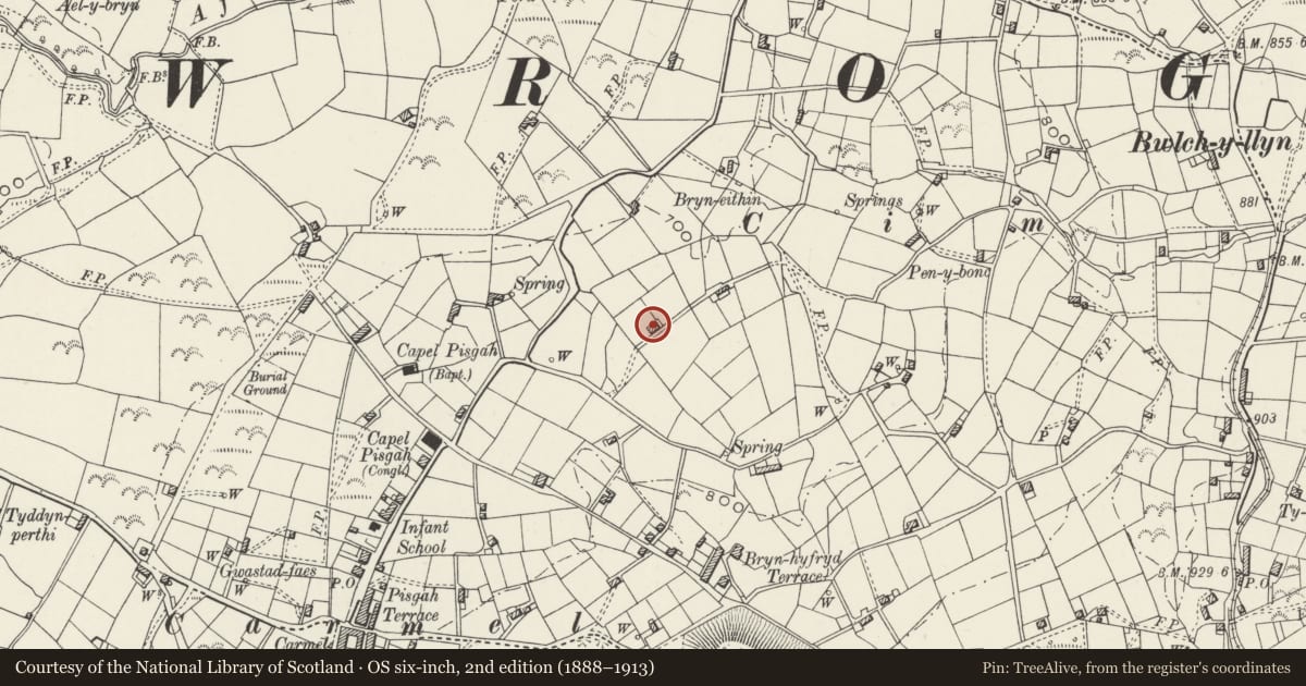 Ordnance Survey six-inch map, 2nd edition (1888–1913) covering the location of Ty Newydd, Llandwrog, Gwynedd, with a pin at the register's coordinates
