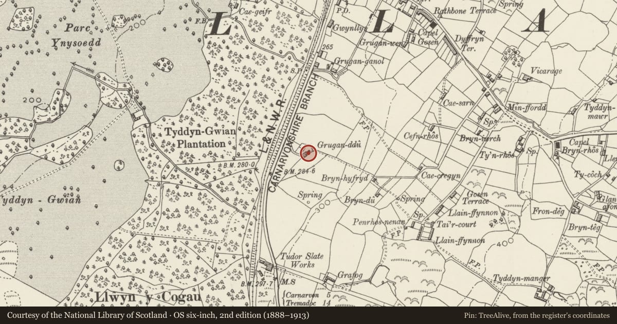 Ordnance Survey six-inch map, 2nd edition (1888–1913) covering the location of Grugan Ddu, Llandwrog, Gwynedd, with a pin at the register's coordinates