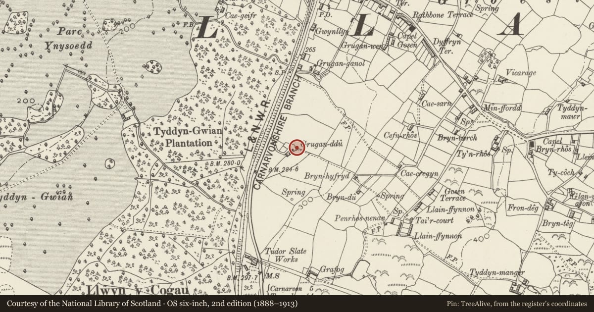 Ordnance Survey six-inch map, 2nd edition (1888–1913) covering the location of Pigsties at Grugan Ddu, Llandwrog, Gwynedd, with a pin at the register's coordinates