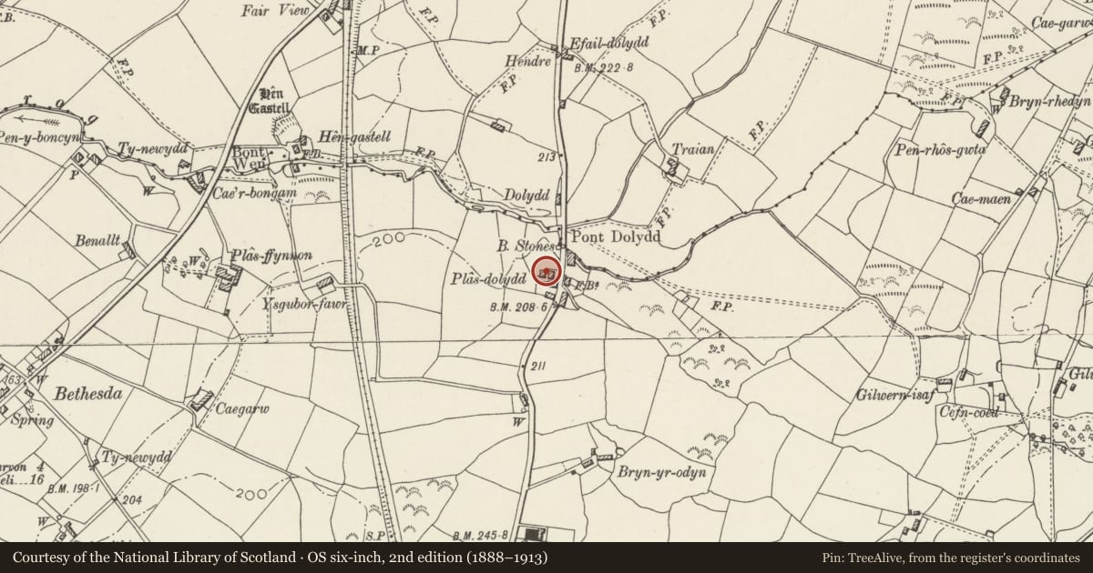 Ordnance Survey six-inch map, 2nd edition (1888–1913) covering the location of Disused Cottage at Plas Dolydd, Llandwrog, Gwynedd, with a pin at the register's coordinates