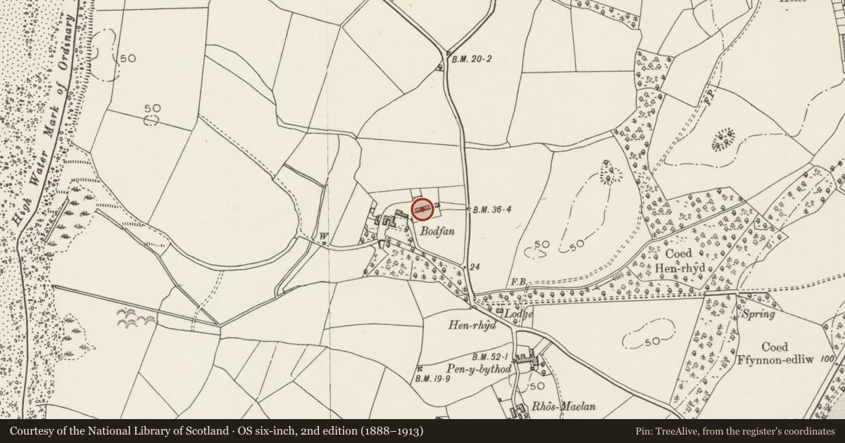 Ordnance Survey six-inch map, 2nd edition (1888–1913) covering the location of Cowhouse, Barn and Cart Shelter at Bodfan, Llandwrog, Gwynedd, with a pin at the register's coordinates