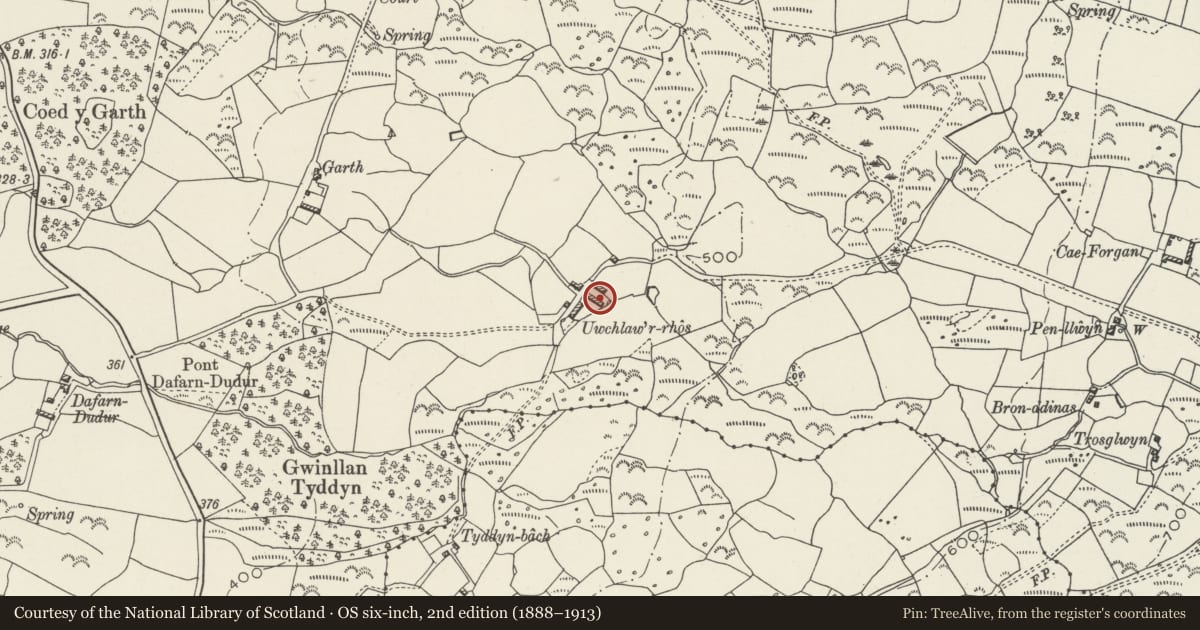 Ordnance Survey six-inch map, 2nd edition (1888–1913) covering the location of Cowhouse at Uwchlaw'r-rhos, Llandwrog, Gwynedd, with a pin at the register's coordinates