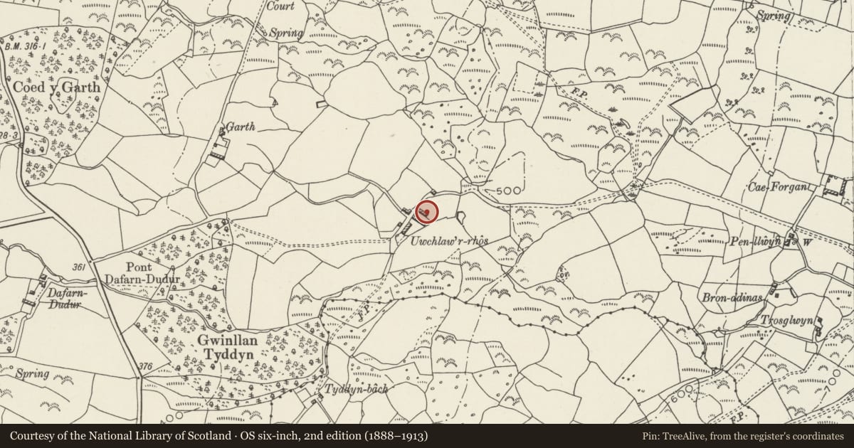 Ordnance Survey six-inch map, 2nd edition (1888–1913) covering the location of Cart shelter and stables at Uwchlaw'r-rhos, Llandwrog, Gwynedd, with a pin at the register's coordinates