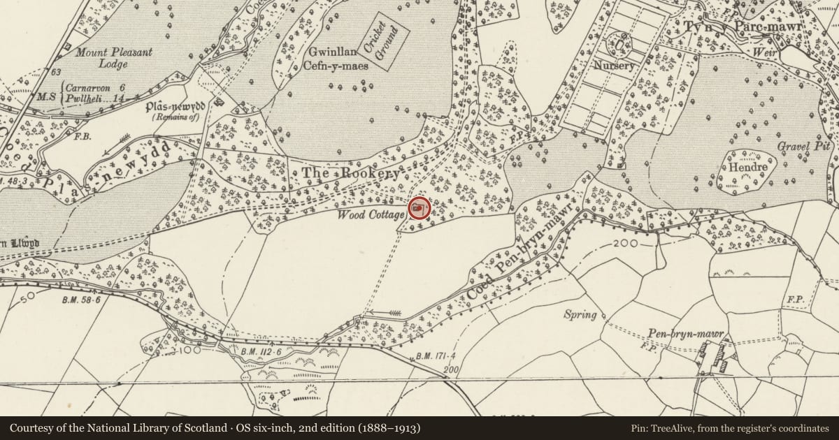 Ordnance Survey six-inch map, 2nd edition (1888–1913) covering the location of Wood Cottage, Llandwrog, Gwynedd, with a pin at the register's coordinates
