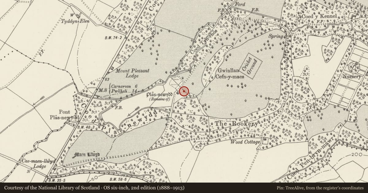 Ordnance Survey six-inch map, 2nd edition (1888–1913) covering the location of Outbuildings at Plas Newydd, Llandwrog, Gwynedd, with a pin at the register's coordinates