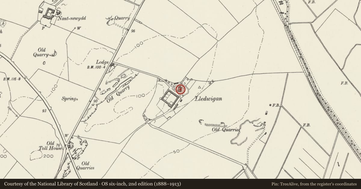 Ordnance Survey six-inch map, 2nd edition (1888–1913) covering the location of Lledwigan, Llangristiolus, Isle of Anglesey, with a pin at the register's coordinates