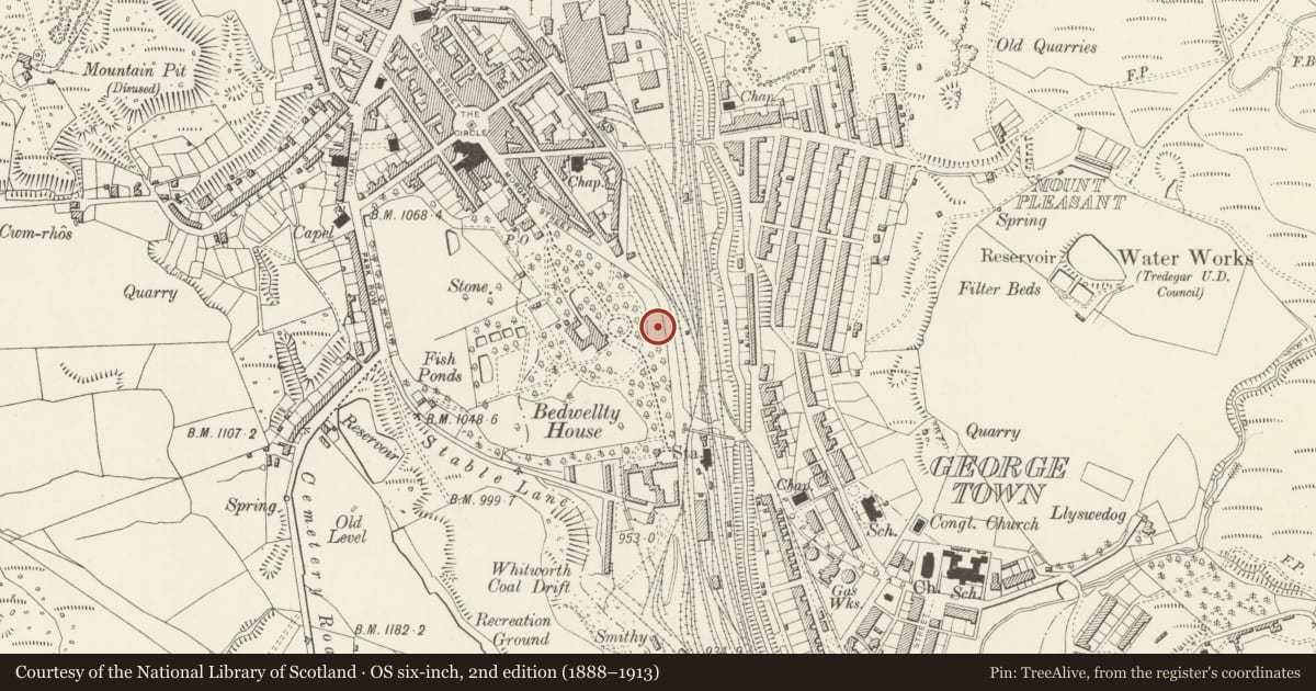 Ordnance Survey six-inch map, 2nd edition (1888–1913) covering the location of War Memorial at Bedwellty Park, Tredegar, Blaenau Gwent, with a pin at the register's coordinates