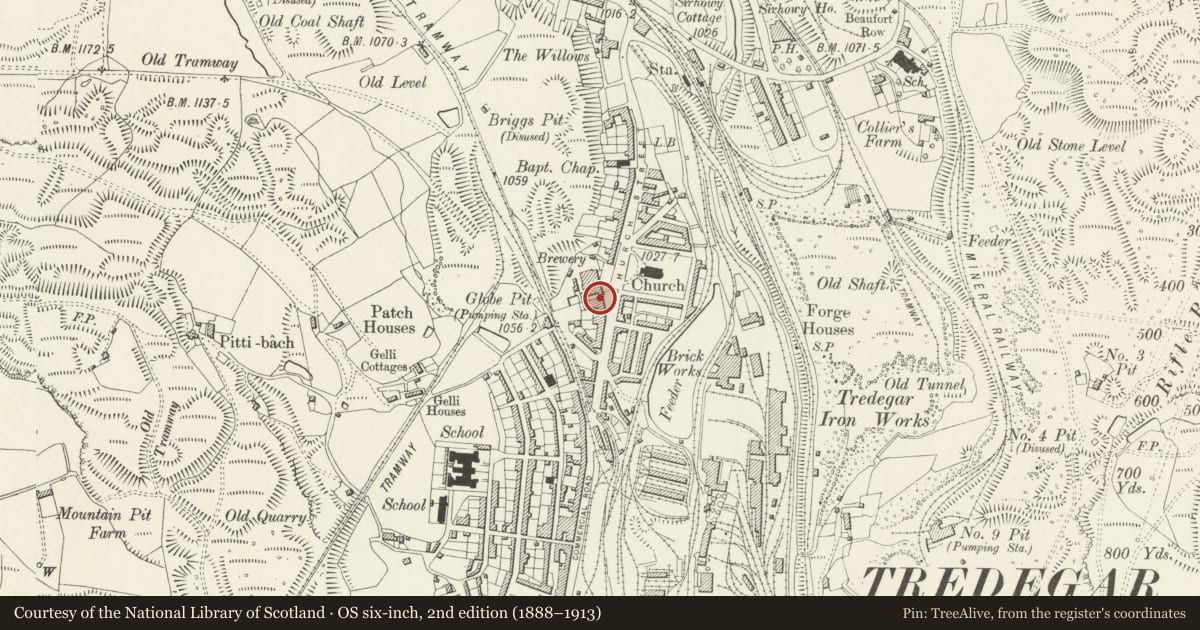 Ordnance Survey six-inch map, 2nd edition (1888–1913) covering the location of Christina Louise Nursing Home (aka Central Surgery), Tredegar, Blaenau Gwent, with a pin at the register's coordinates