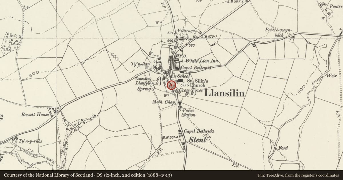 Ordnance Survey six-inch map, 2nd edition (1888–1913) covering the location of The Malt House, including nos 1 and 2 Malthouse Cottages, Llansilin, Powys, with a pin at the register's coordinates
