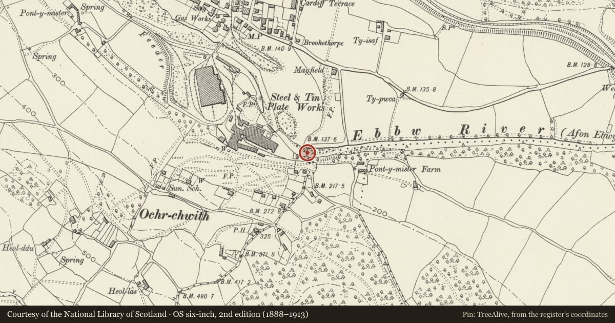 Ordnance Survey six-inch map, 2nd edition (1888–1913) covering the location of Pont Y Mister, Risca, Caerphilly, with a pin at the register's coordinates