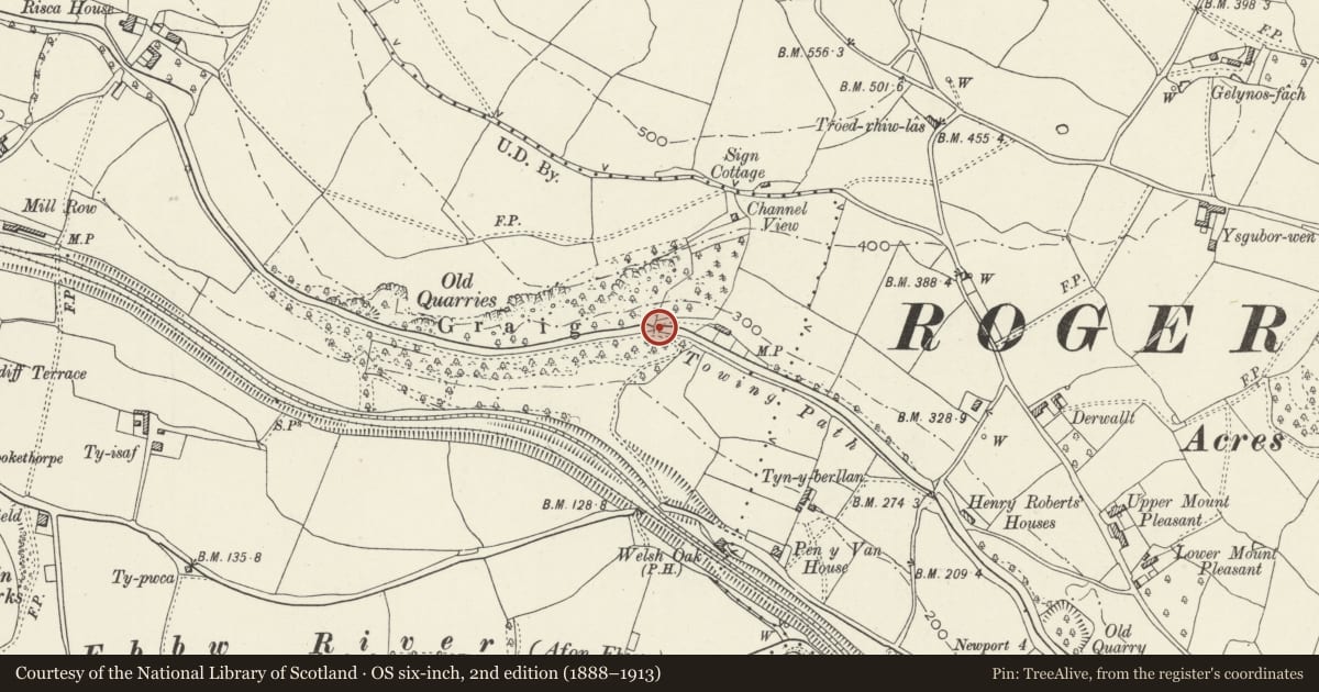 Ordnance Survey six-inch map, 2nd edition (1888–1913) covering the location of Canal Bridge over Monmouthshire and Brecon Canal S of Ty Sign, Risca, Caerphilly, with a pin at the register's coordinates