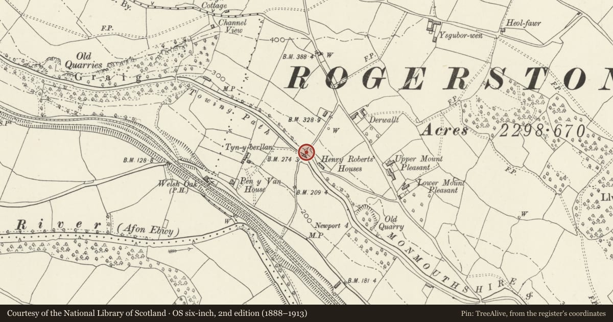 Ordnance Survey six-inch map, 2nd edition (1888–1913) covering the location of Canal Bridge over Monmouthshire and Brecon Canal E of Pen y van, Rogerstone, Newport, with a pin at the register's coordinates