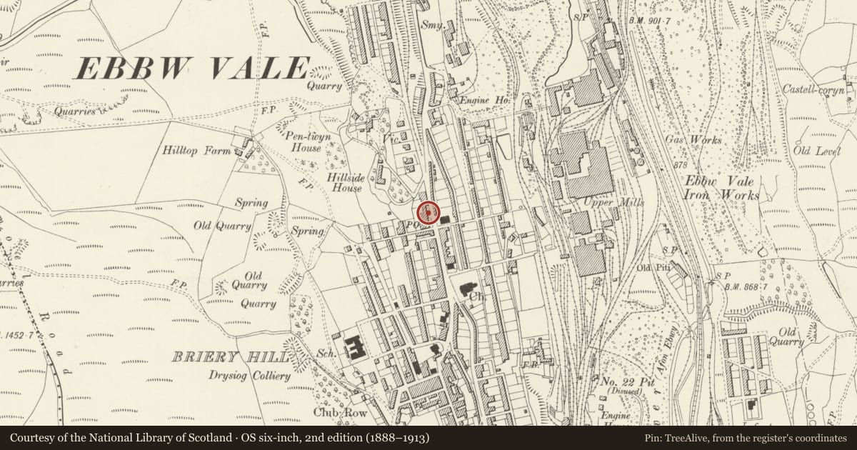 Ordnance Survey six-inch map, 2nd edition (1888–1913) covering the location of Ebbw Vale Adult Education Centre, Blaenau Gwent, with a pin at the register's coordinates