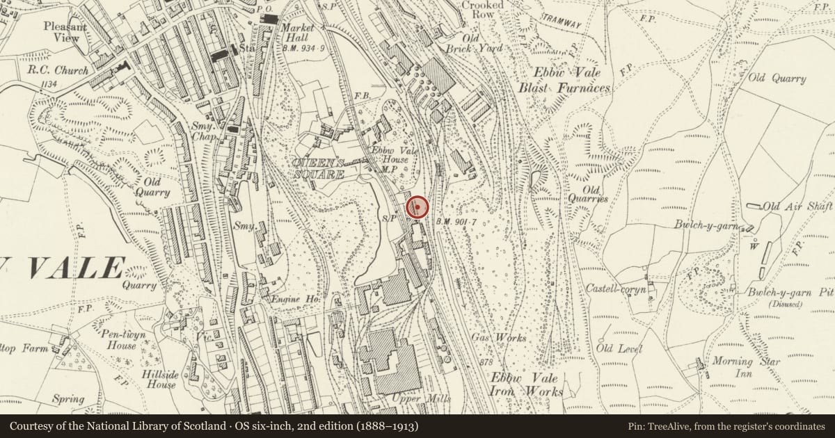 Ordnance Survey six-inch map, 2nd edition (1888–1913) covering the location of British Steel Tinplate Works General Office, Ebbw Vale, Blaenau Gwent, with a pin at the register's coordinates