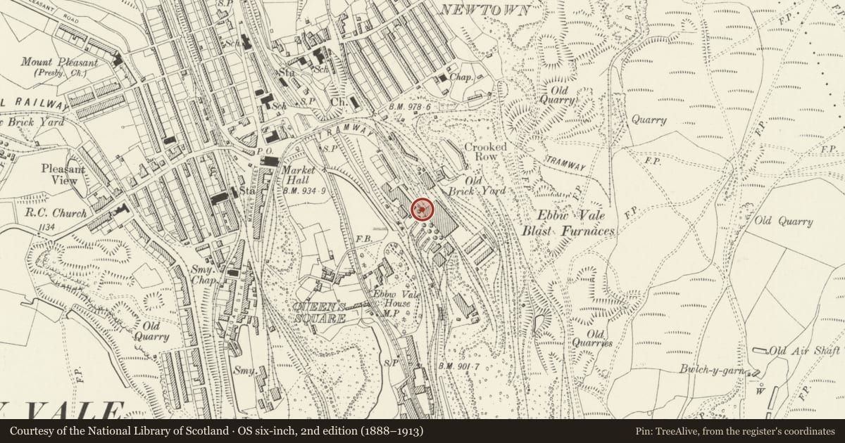 Ordnance Survey six-inch map, 2nd edition (1888–1913) covering the location of Furnace Bank, Ebbw Vale, Blaenau Gwent, with a pin at the register's coordinates