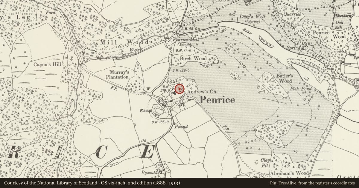 Ordnance Survey six-inch map, 2nd edition (1888–1913) covering the location of Cole Grave in St Andrew's Churchyard, Penrice, Swansea, with a pin at the register's coordinates