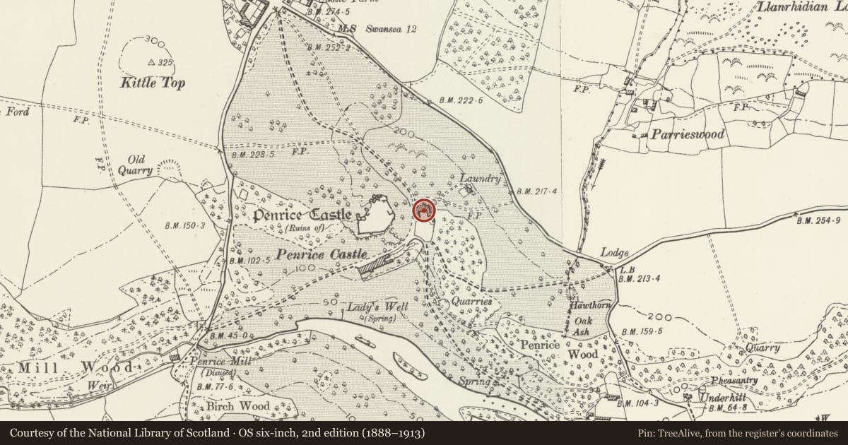 Ordnance Survey six-inch map, 2nd edition (1888–1913) covering the location of Penrice Castle Stables, Swansea, with a pin at the register's coordinates