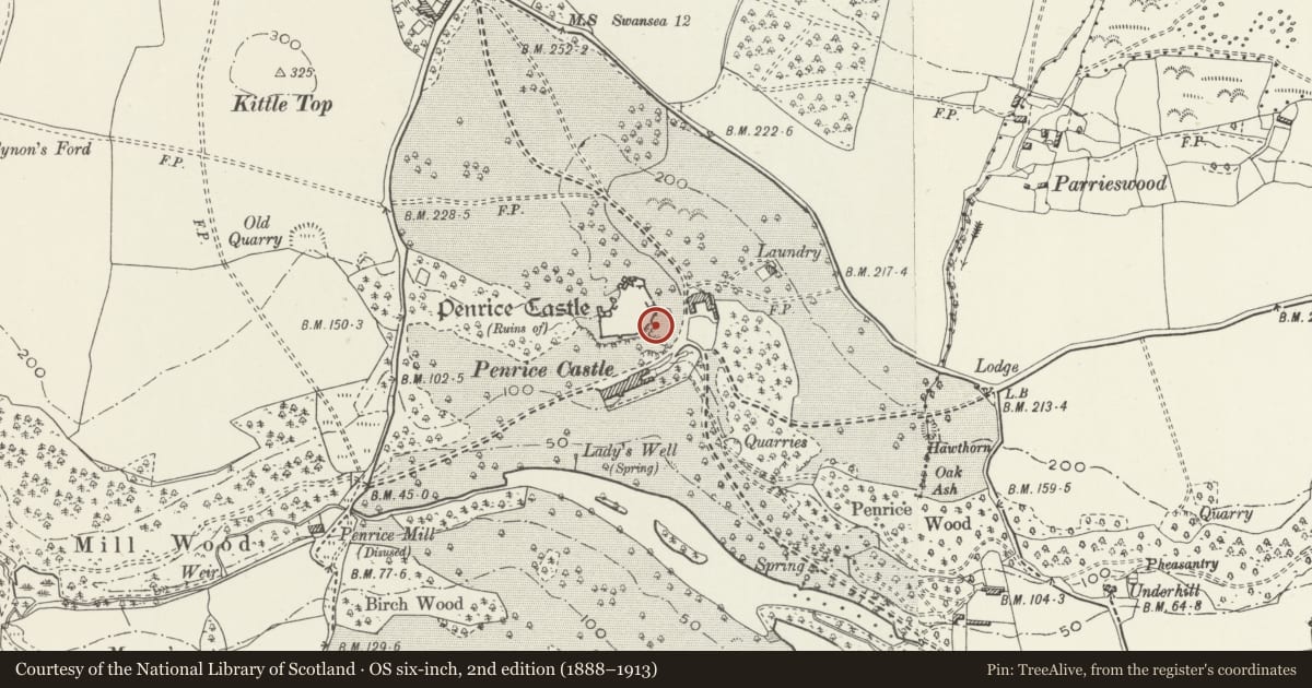Ordnance Survey six-inch map, 2nd edition (1888–1913) covering the location of Penrice Castle Dovecote, Swansea, with a pin at the register's coordinates
