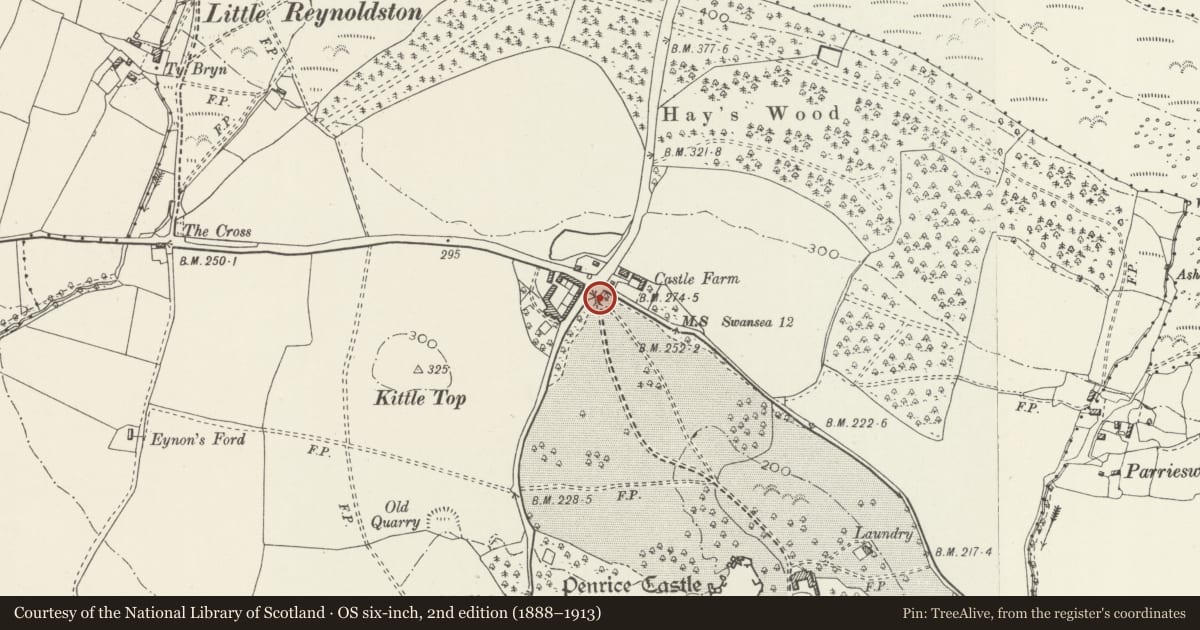 Ordnance Survey six-inch map, 2nd edition (1888–1913) covering the location of Penrice Castle North-West Gates, Railings and Piers, Swansea, with a pin at the register's coordinates