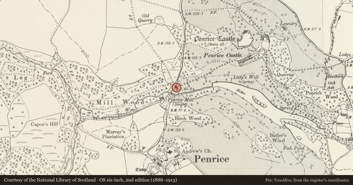 Ordnance Survey six-inch map, 2nd edition (1888–1913) covering the location of Penrice Castle South-West Gates, Railings and Piers, Swansea, with a pin at the register's coordinates