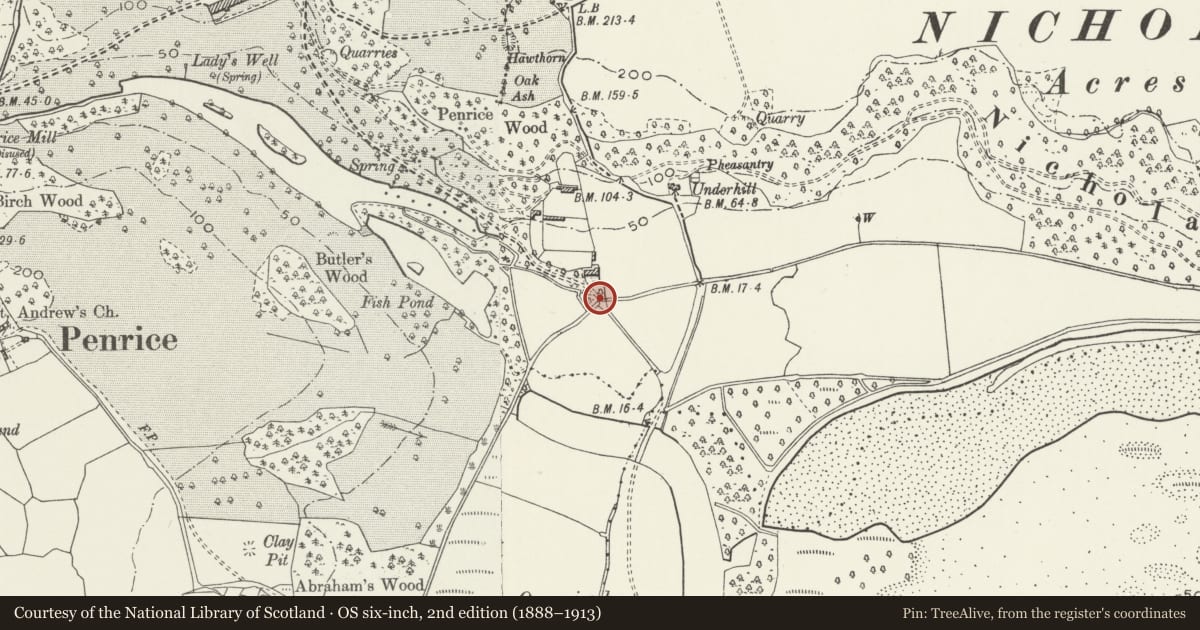 Ordnance Survey six-inch map, 2nd edition (1888–1913) covering the location of Penrice Castle South-East Gates and Piers (Also in Ilston Community), Swansea, with a pin at the register's coordinates