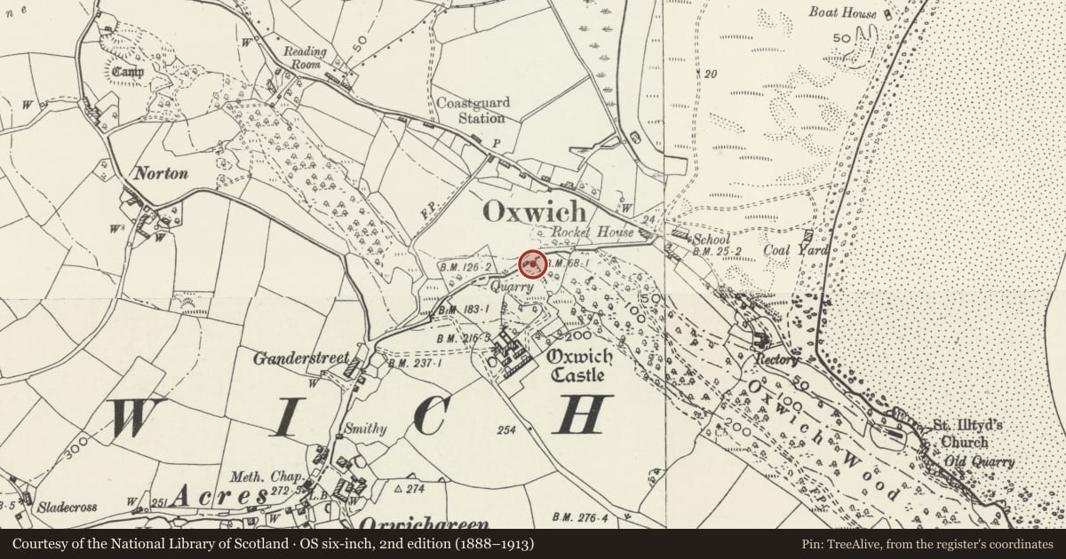 Ordnance Survey six-inch map, 2nd edition (1888–1913) covering the location of Limekiln in Oxwich Wood, Penrice, Swansea, with a pin at the register's coordinates