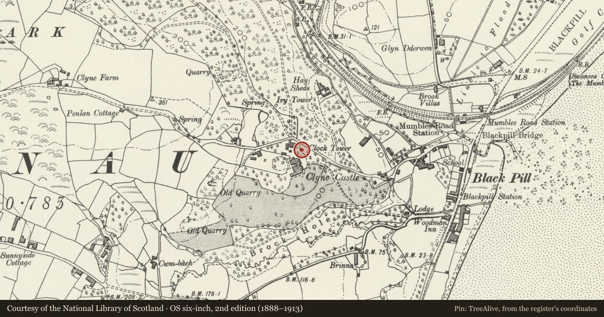 Ordnance Survey six-inch map, 2nd edition (1888–1913) covering the location of Clock Tower at Clyne Castle, Mumbles, Swansea, with a pin at the register's coordinates
