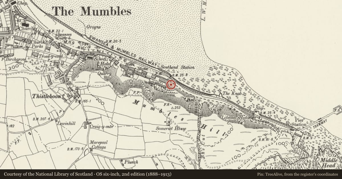Ordnance Survey six-inch map, 2nd edition (1888–1913) covering the location of Bristol Channel Yacht Club, Mumbles, Swansea, with a pin at the register's coordinates