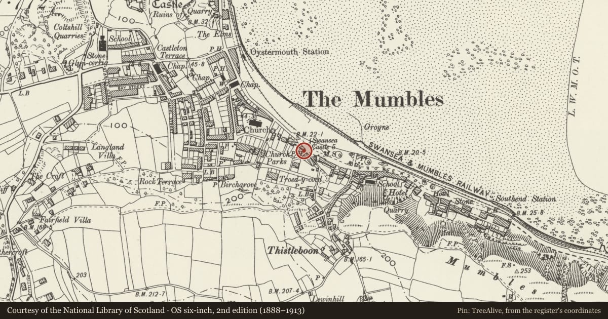 Ordnance Survey six-inch map, 2nd edition (1888–1913) covering the location of Prince's Fountain, Mumbles, Swansea, with a pin at the register's coordinates
