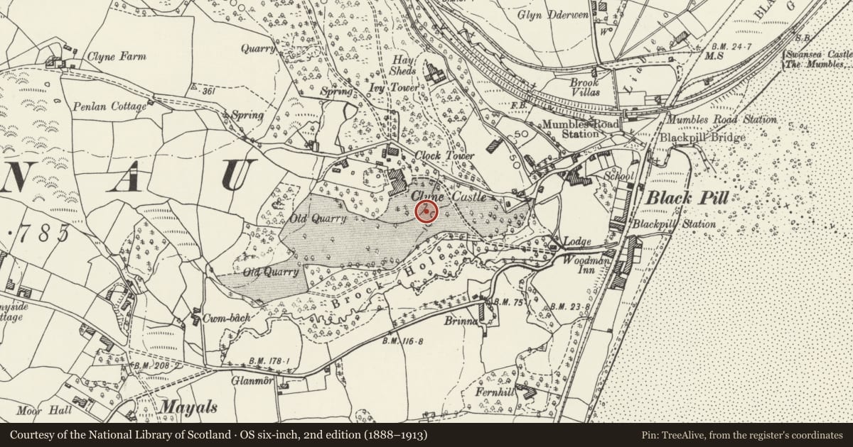 Ordnance Survey six-inch map, 2nd edition (1888–1913) covering the location of Italian Bridge in Clyne Gardens, Mumbles, Swansea, with a pin at the register's coordinates