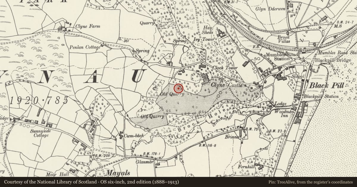 Ordnance Survey six-inch map, 2nd edition (1888–1913) covering the location of Gazebo in Clyne Gardens, Mumbles, Swansea, with a pin at the register's coordinates