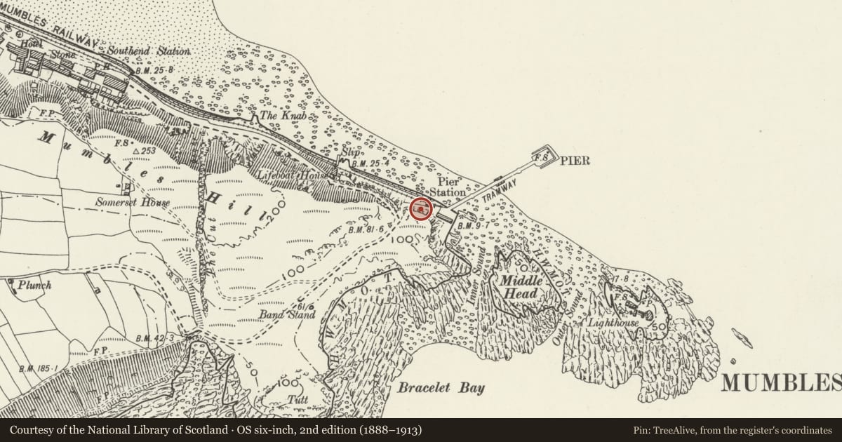 Ordnance Survey six-inch map, 2nd edition (1888–1913) covering the location of Public Conveniences at landward end of Mumbles Pier, Swansea, with a pin at the register's coordinates