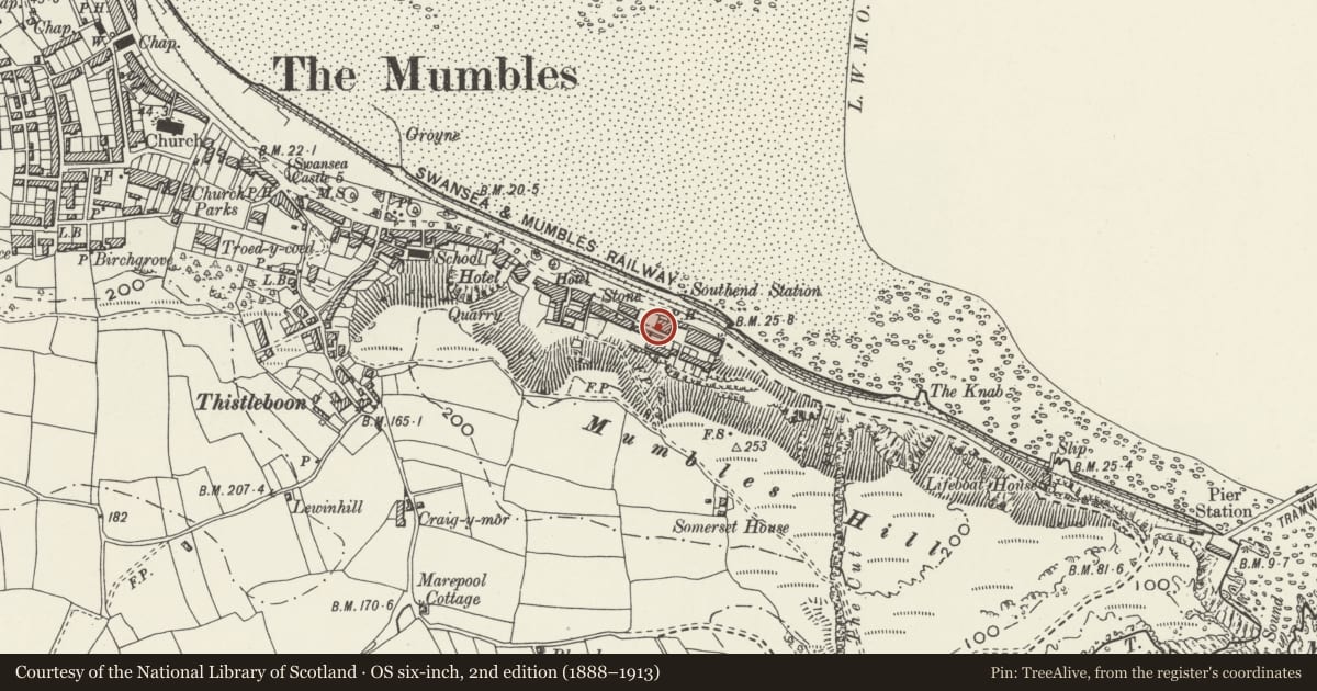 Ordnance Survey six-inch map, 2nd edition (1888–1913) covering the location of 2 Southend Villas, Mumbles, Swansea, with a pin at the register's coordinates