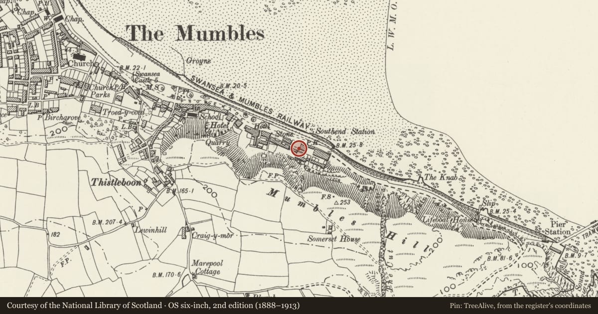 Ordnance Survey six-inch map, 2nd edition (1888–1913) covering the location of 3 Southend Villas, Mumbles, Swansea, with a pin at the register's coordinates
