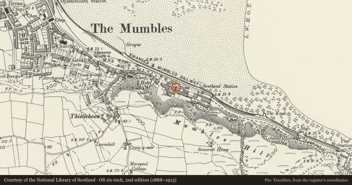 Ordnance Survey six-inch map, 2nd edition (1888–1913) covering the location of Turnpike Trust boundary stone in front of 704 Mumbles Road, Swansea, with a pin at the register's coordinates