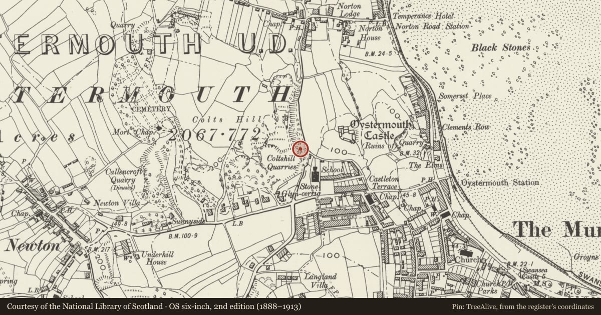 Ordnance Survey six-inch map, 2nd edition (1888–1913) covering the location of Lime Kiln adjacent to Castle Road, Mumbles, Swansea, with a pin at the register's coordinates
