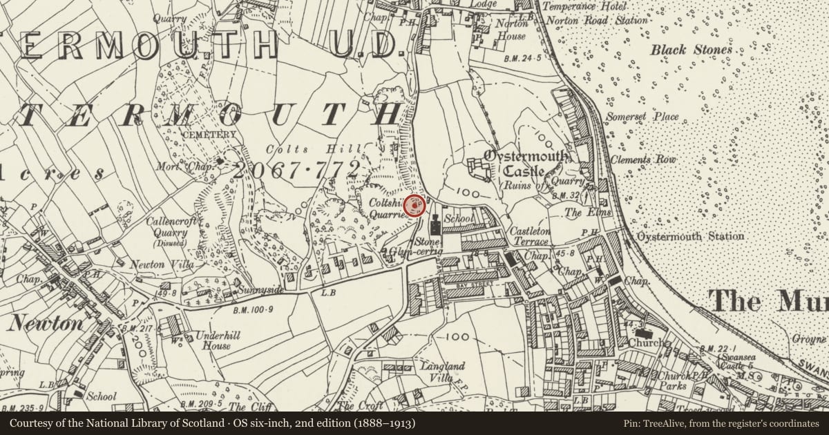 Ordnance Survey six-inch map, 2nd edition (1888–1913) covering the location of Lime Kiln adjacent to Lime Kiln Road, Mumbles, Swansea, with a pin at the register's coordinates