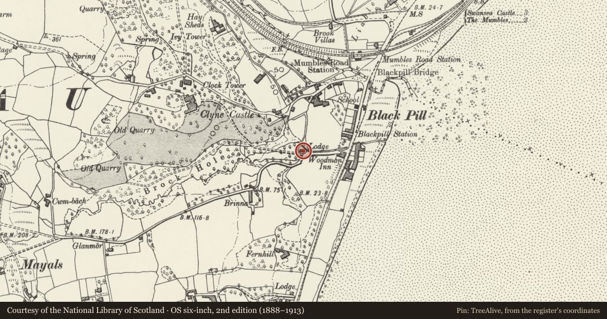 Ordnance Survey six-inch map, 2nd edition (1888–1913) covering the location of Clyne Lodge, Mumbles, Swansea, with a pin at the register's coordinates