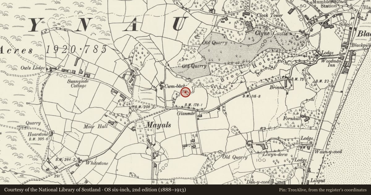 Ordnance Survey six-inch map, 2nd edition (1888–1913) covering the location of Japanese Bridge in Clyne Gardens, Mumbles, Swansea, with a pin at the register's coordinates