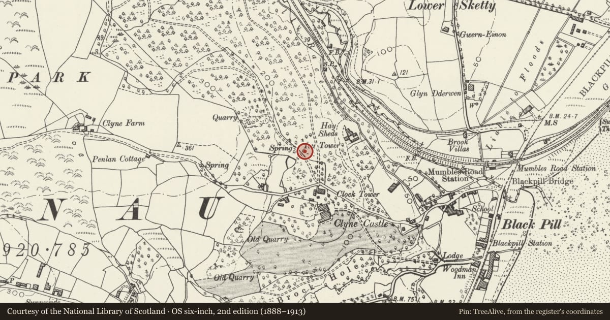Ordnance Survey six-inch map, 2nd edition (1888–1913) covering the location of The Ivy Tower, Mumbles, Swansea, with a pin at the register's coordinates