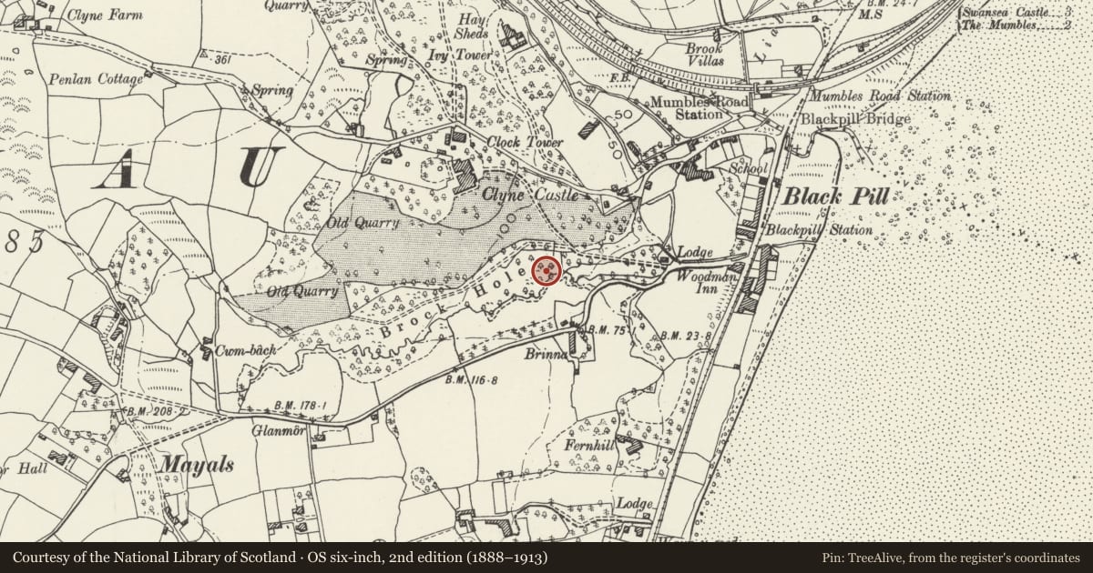 Ordnance Survey six-inch map, 2nd edition (1888–1913) covering the location of Viewing Tower in Clyne Gardens, Mumbles, Swansea, with a pin at the register's coordinates
